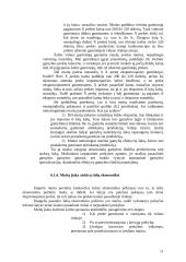 Tarptautinė ekonomika ir prekyba, jų reikšmė 11 puslapis