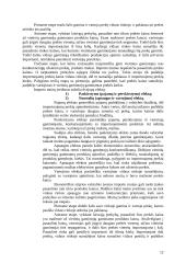 Tarptautinė ekonomika ir prekyba, jų reikšmė 12 puslapis