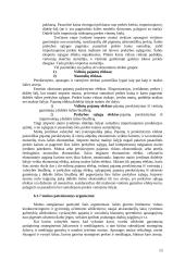 Tarptautinė ekonomika ir prekyba, jų reikšmė 13 puslapis