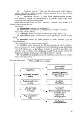 Tarptautinė ekonomika ir prekyba, jų reikšmė 4 puslapis