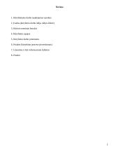 Menų mokyklinis brandos egzaminas, dailės kryptis. Kūrybinio darbo aprašas. Mišri technika 2 puslapis