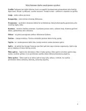 Menų mokyklinis brandos egzaminas, dailės kryptis. Kūrybinio darbo aprašas. Mišri technika 4 puslapis