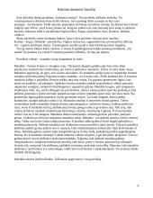 Menų mokyklinis brandos egzaminas, dailės kryptis. Kūrybinio darbo aprašas. Mišri technika 6 puslapis