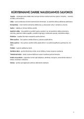 Menų mokyklinis brandos egzaminas, dailės kryptis. Kūrybinio darbo aprašas. Mišri atlikimo technika „Išvada” 2 puslapis