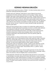 Menų mokyklinis brandos egzaminas, dailės kryptis. Kūrybinio darbo aprašas. Mišri atlikimo technika „Išvada” 4 puslapis