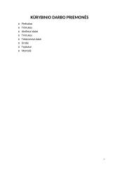 Menų mokyklinis brandos egzaminas, dailės kryptis. Kūrybinio darbo aprašas. Mišri atlikimo technika „Išvada” 6 puslapis