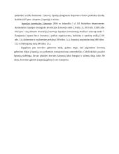 Tarptautinė logistika 12 puslapis