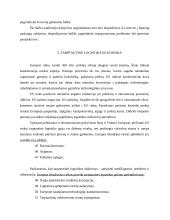 Tarptautinė logistika 8 puslapis