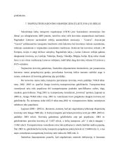 Tarptautinė logistika 10 puslapis