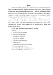 Tarptautinės logistikos paslaugos 2 puslapis