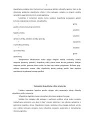 Tarptautinės logistikos paslaugos 11 puslapis