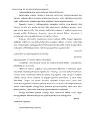 Tarptautinės logistikos paslaugos 13 puslapis