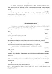 Tarptautinės logistikos paslaugos 4 puslapis