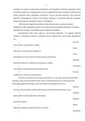 Tarptautinės logistikos paslaugos 6 puslapis