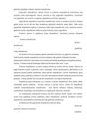 Tarptautinės logistikos paslaugos 9 puslapis