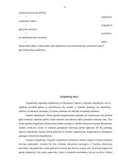 Tarptautinės logistikos paslaugos 10 puslapis