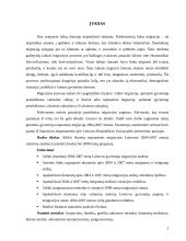 Tarptautinė migracija Lietuvoje 2004-2007 metais 2 puslapis