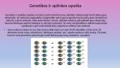 Skaidrės apie genetiką 5 puslapis