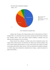 UAB „Kompiuteriai paprastai“ rinkodaros analizė 14 puslapis