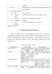 UAB „Kompiuteriai paprastai“ rinkodaros analizė 7 puslapis