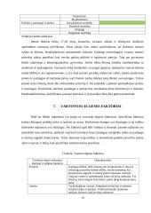UAB „Kompiuteriai paprastai“ rinkodaros analizė 9 puslapis