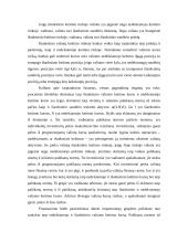 Tarptautinė pinigų sistema 11 puslapis