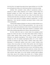 Tarptautinė pinigų sistema 16 puslapis