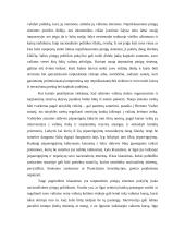 Tarptautinė pinigų sistema 18 puslapis