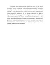 Tarptautinė pinigų sistema 20 puslapis