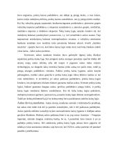 Tarptautinė pinigų sistema 4 puslapis