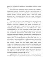 Tarptautinė pinigų sistema 9 puslapis