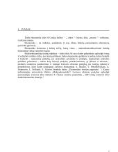 Lietuvos užsienio ir tarptautinė prekyba 2 puslapis