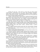 Lietuvos užsienio ir tarptautinė prekyba 13 puslapis