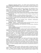 Lietuvos užsienio ir tarptautinė prekyba 6 puslapis