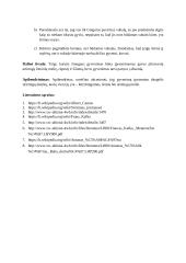 Kas įprasmina žmogaus gyvenimą? (A. Škėma, A. Kamiu, F. Kafka) 5 puslapis