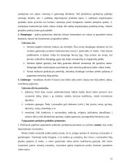 Tarptautinė prekyba ir globalizavimas 13 puslapis