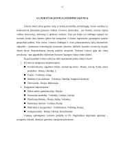 Tarptautinė prekyba ir jos aspektai Lietuvoje 12 puslapis