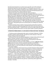 Tarptautinė prekyba ir jos formos 12 puslapis