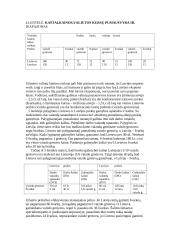 Tarptautinė prekyba ir jos formos 14 puslapis