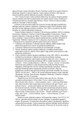 Tarptautinė prekyba ir jos formos 16 puslapis