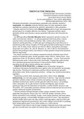 Tarptautinė prekyba ir jos formos 4 puslapis