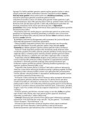 Tarptautinė prekyba ir jos formos 5 puslapis