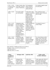 Mokytojo asistento praktikos ataskaita 10 puslapis