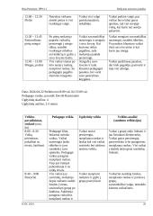 Mokytojo asistento praktikos ataskaita 19 puslapis