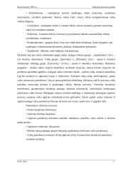 Mokytojo asistento praktikos ataskaita 4 puslapis