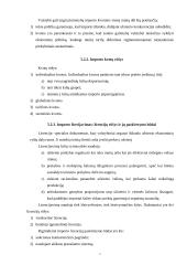 Tarptautinė prekyba ir muitų politika 17 puslapis