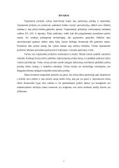 Tarptautinė prekyba ir muitų politika 19 puslapis