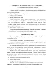 Tarptautinė prekyba ir muitų politika 4 puslapis