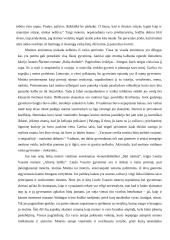 Motinos ir vaiko ryšys lietuvių literatūroje 2 puslapis