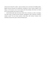 Motinos ir vaiko ryšys lietuvių literatūroje 3 puslapis